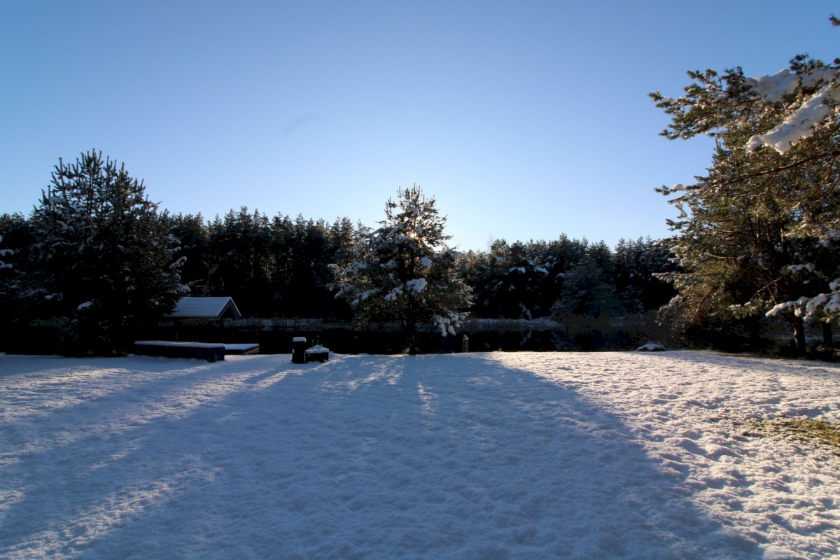 Pärnu linn, Papsaare küla