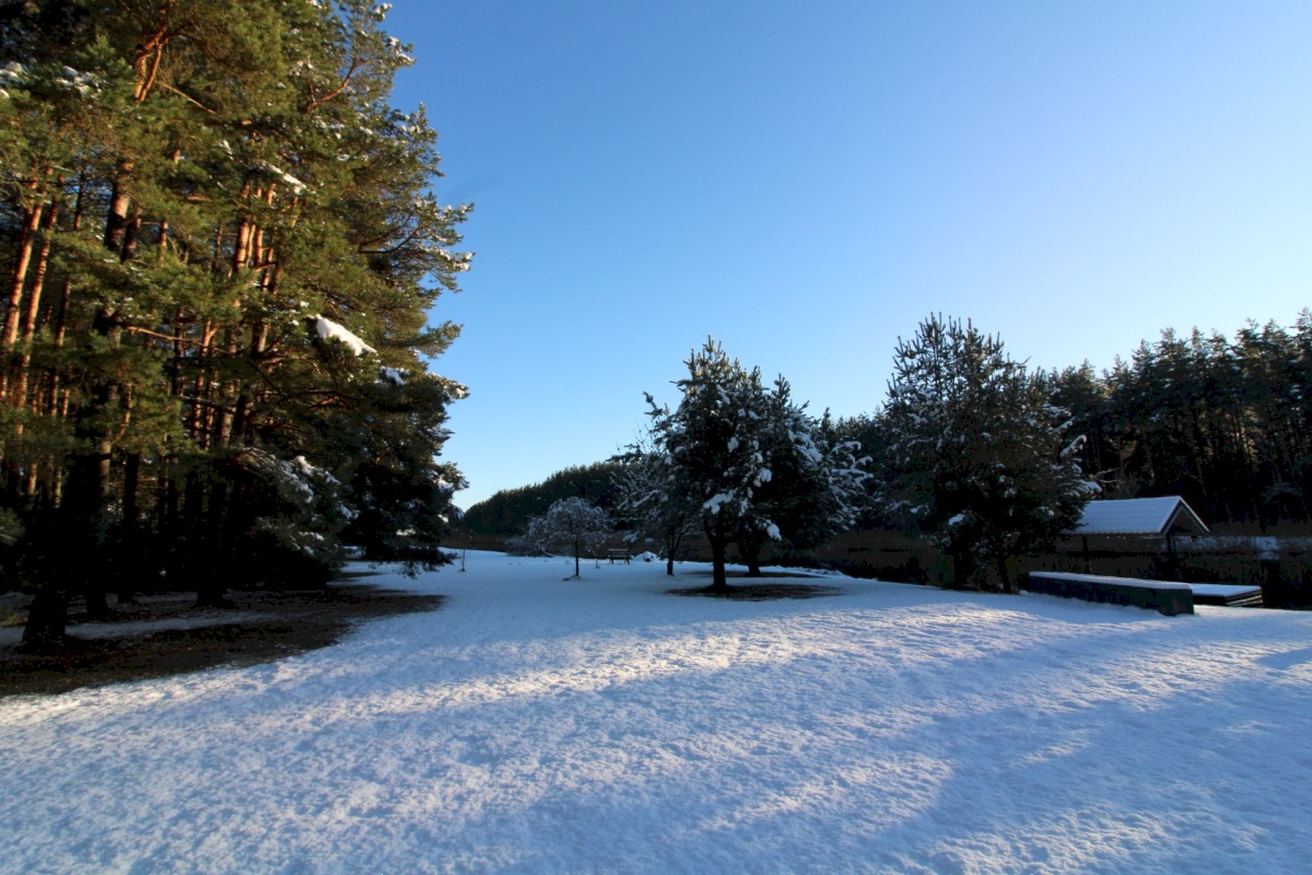 Pärnu linn, Papsaare küla