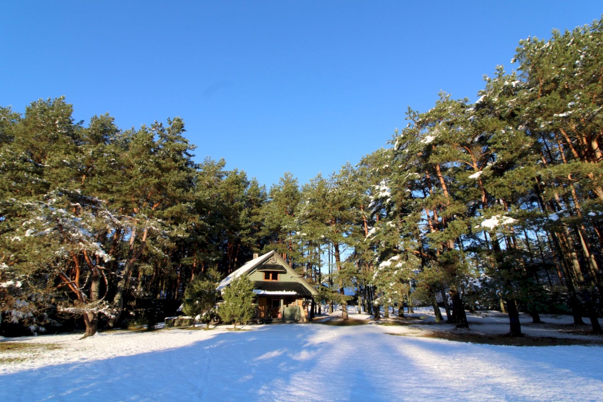 Pärnu linn, Papsaare küla