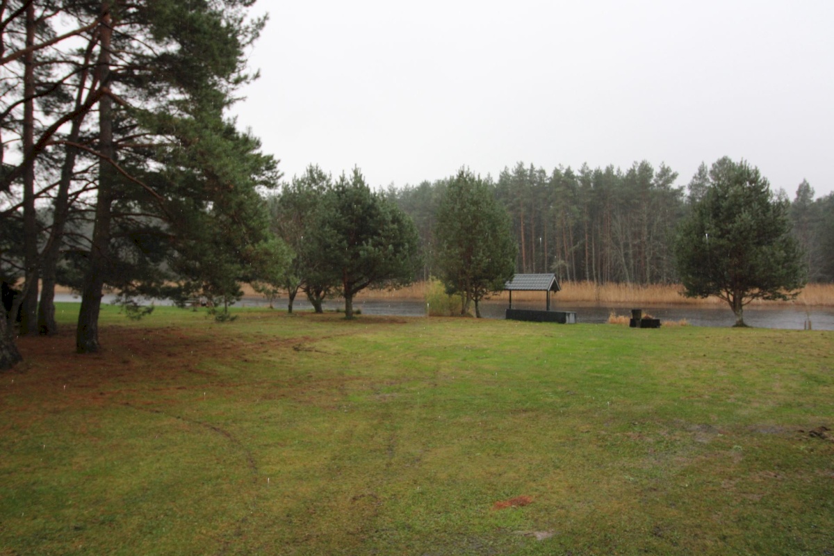 Pärnu linn, Papsaare küla