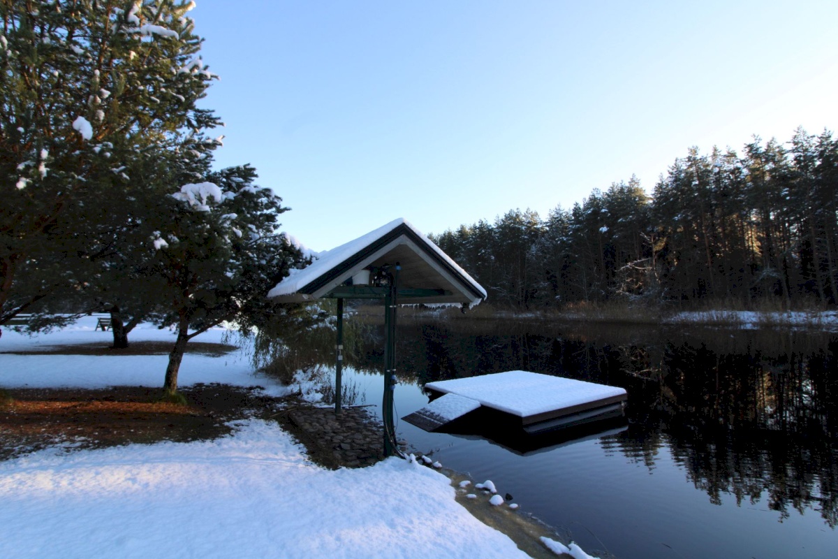 Pärnu linn, Papsaare küla