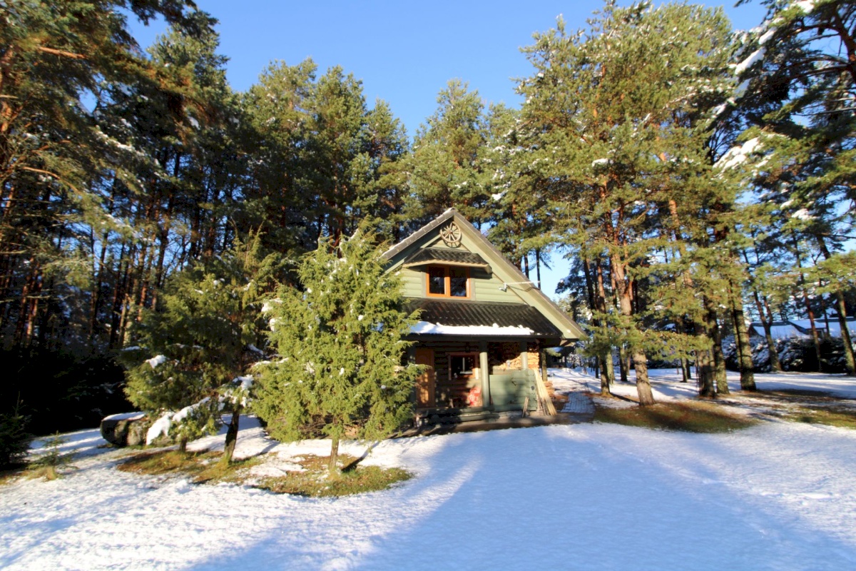 Pärnu linn, Papsaare küla