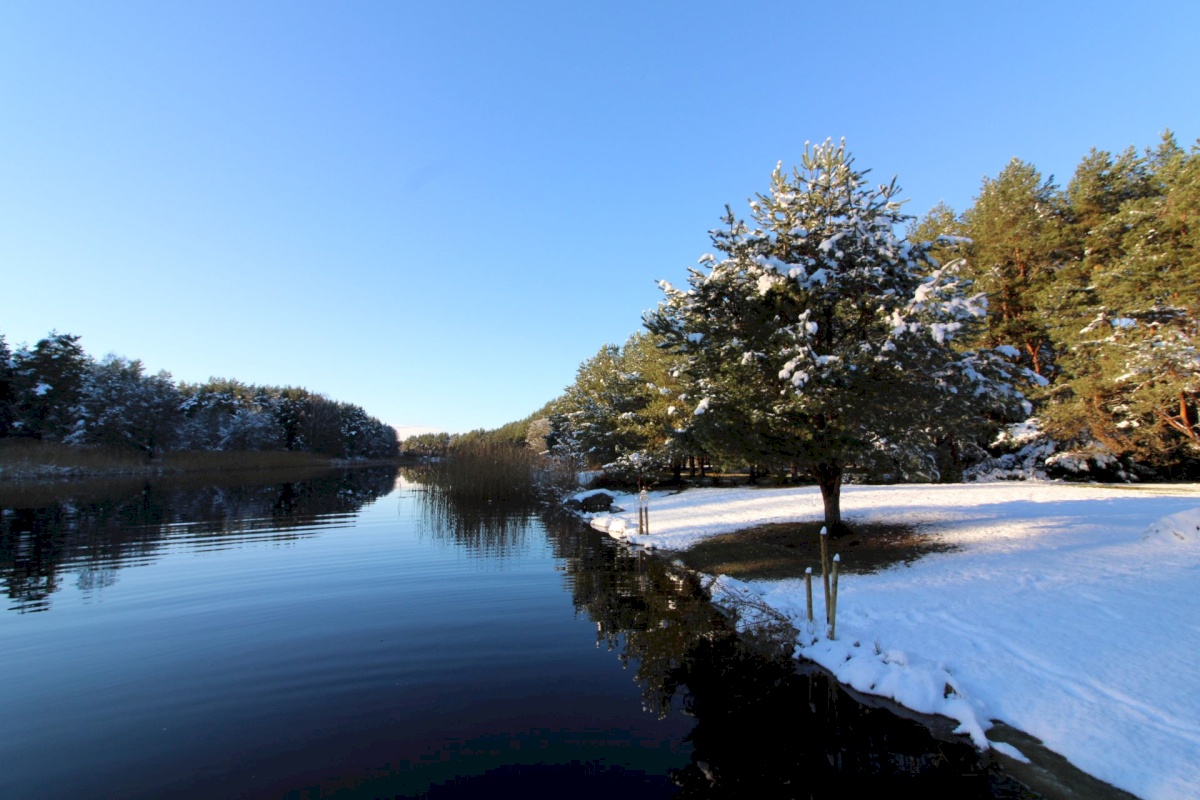 Pärnu linn, Papsaare küla