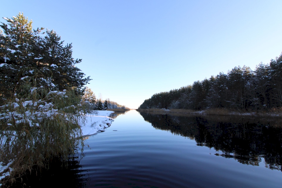 Pärnu linn, Papsaare küla