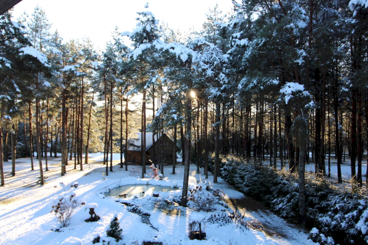 Pärnu linn, Papsaare küla