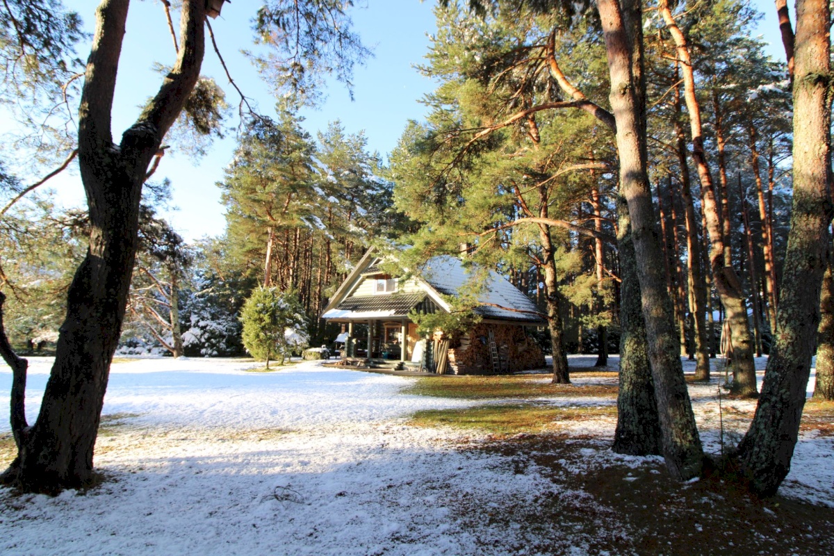 Pärnu linn, Papsaare küla