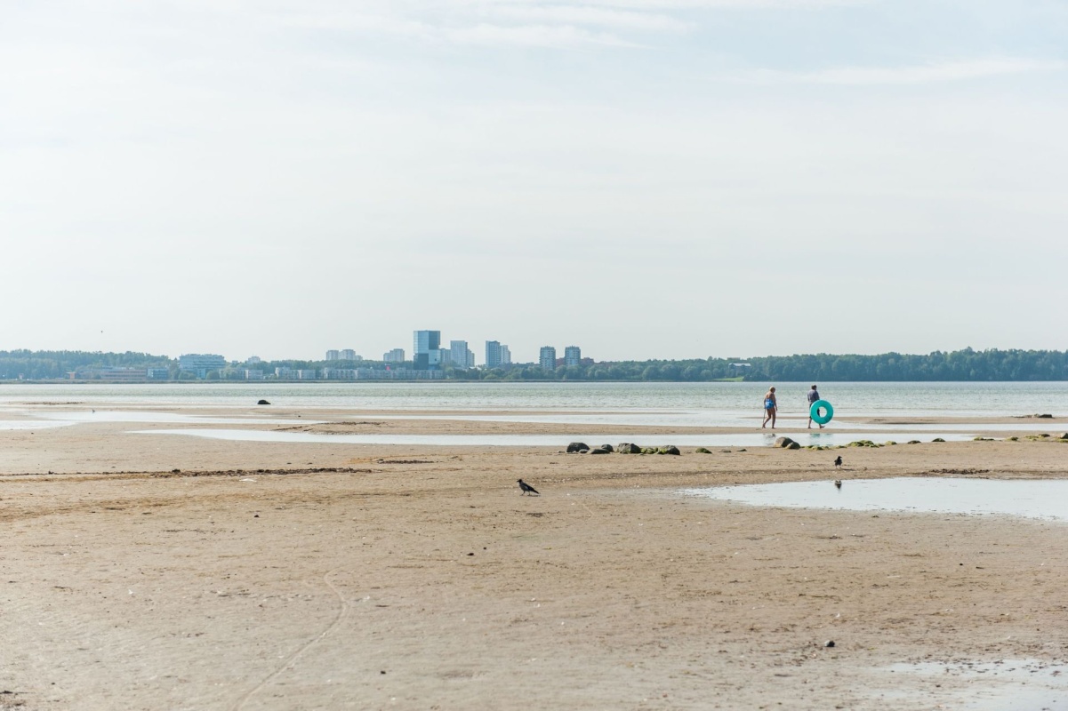 Tallinn, Põhja-Tallinna linnaosa, Pelguranna, Kari tn 26