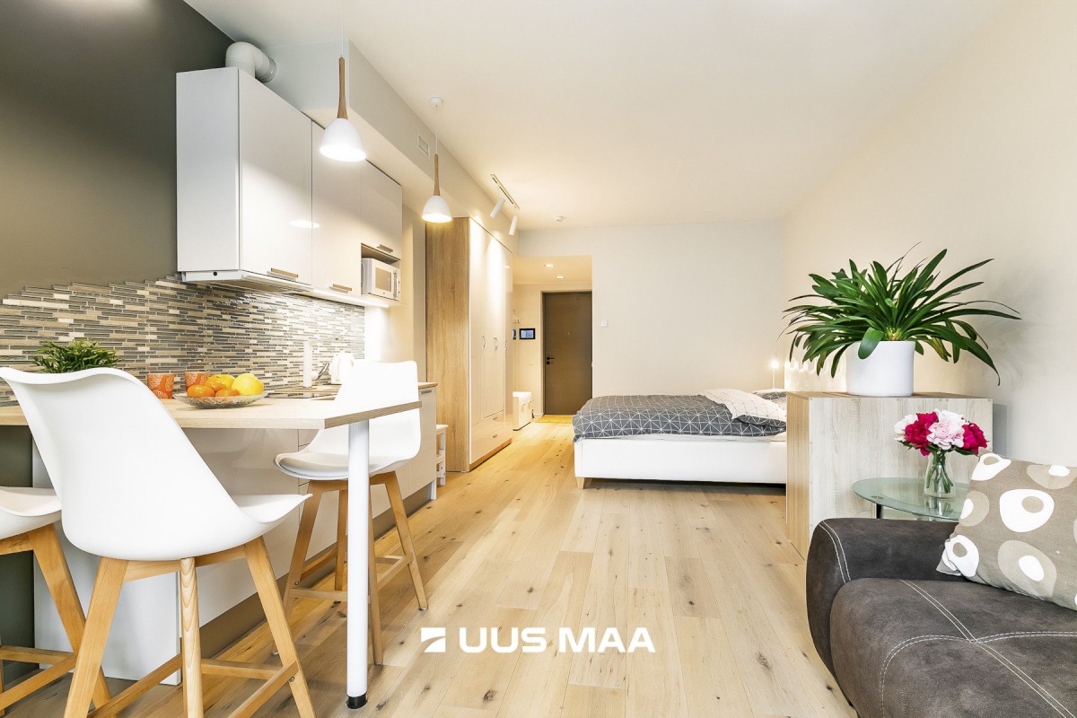 Tallinn, Kesklinna linnaosa, Pärnu mnt 33