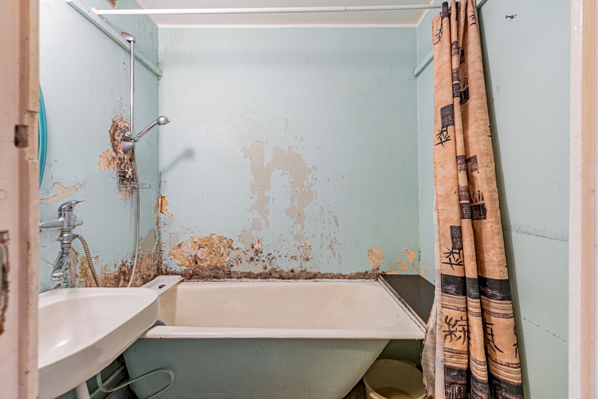 Tallinn, Lasnamäe linnaosa, Raadiku tn 2