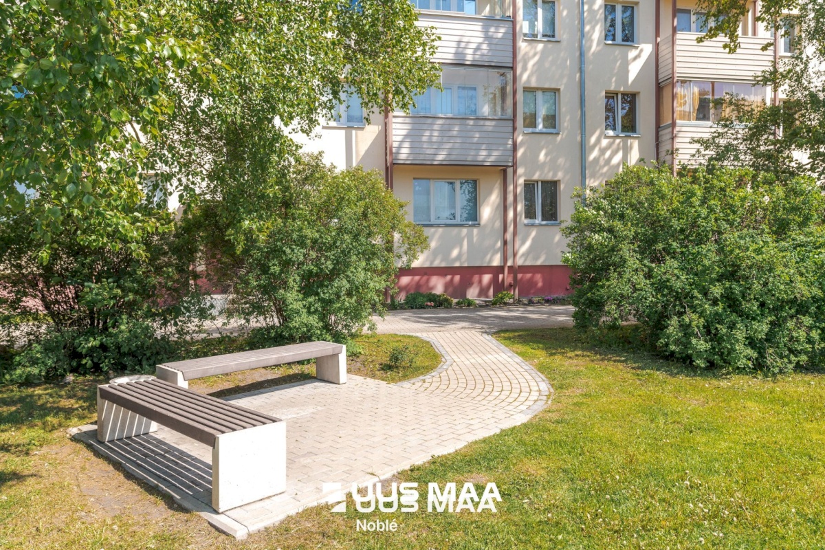 Tallinn, Lasnamäe linnaosa, Pae, Pae 11