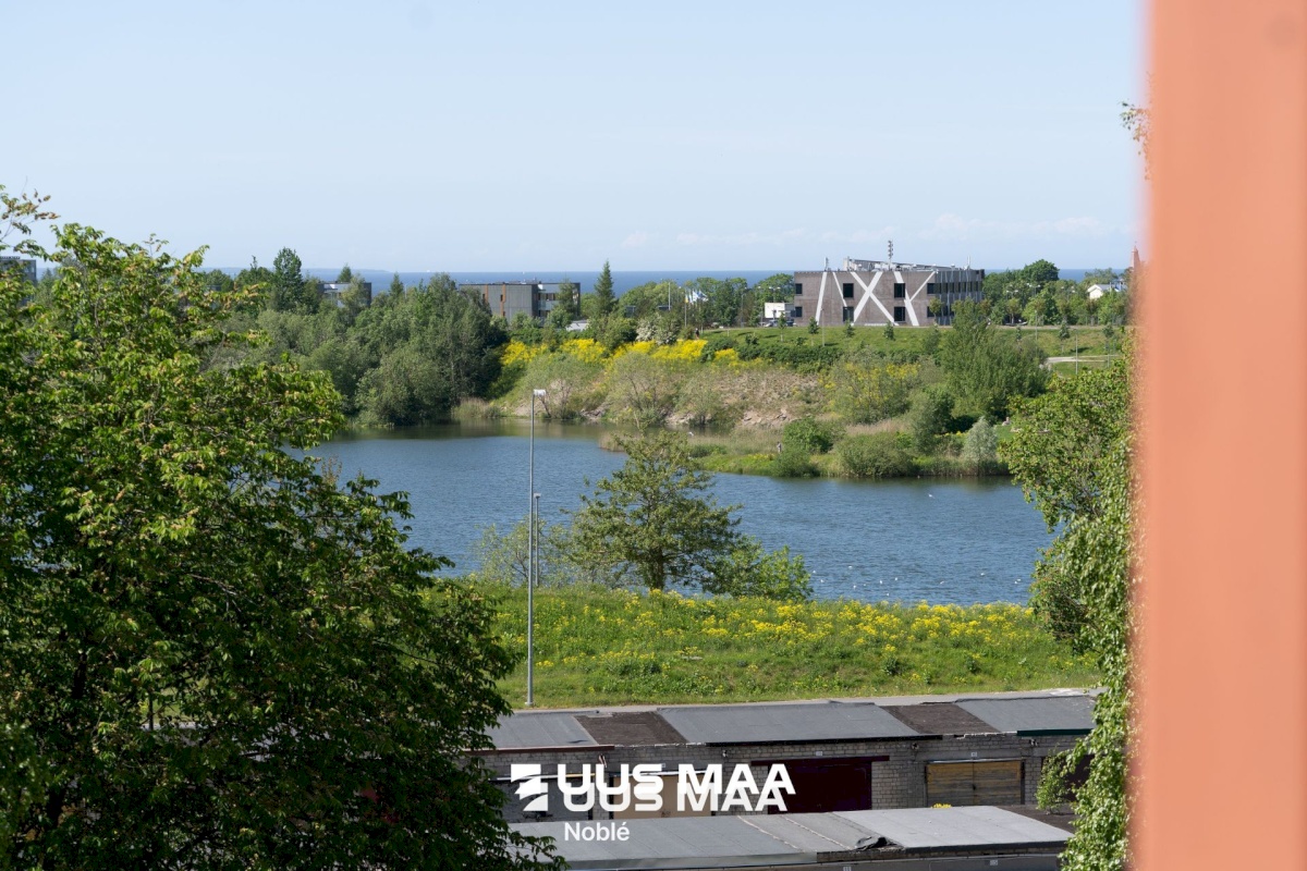 Tallinn, Lasnamäe linnaosa, Pae, Pae 11