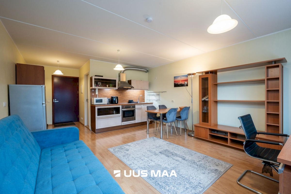 Tartu linn, Tartu linn, Ülejõe, Kivi 23