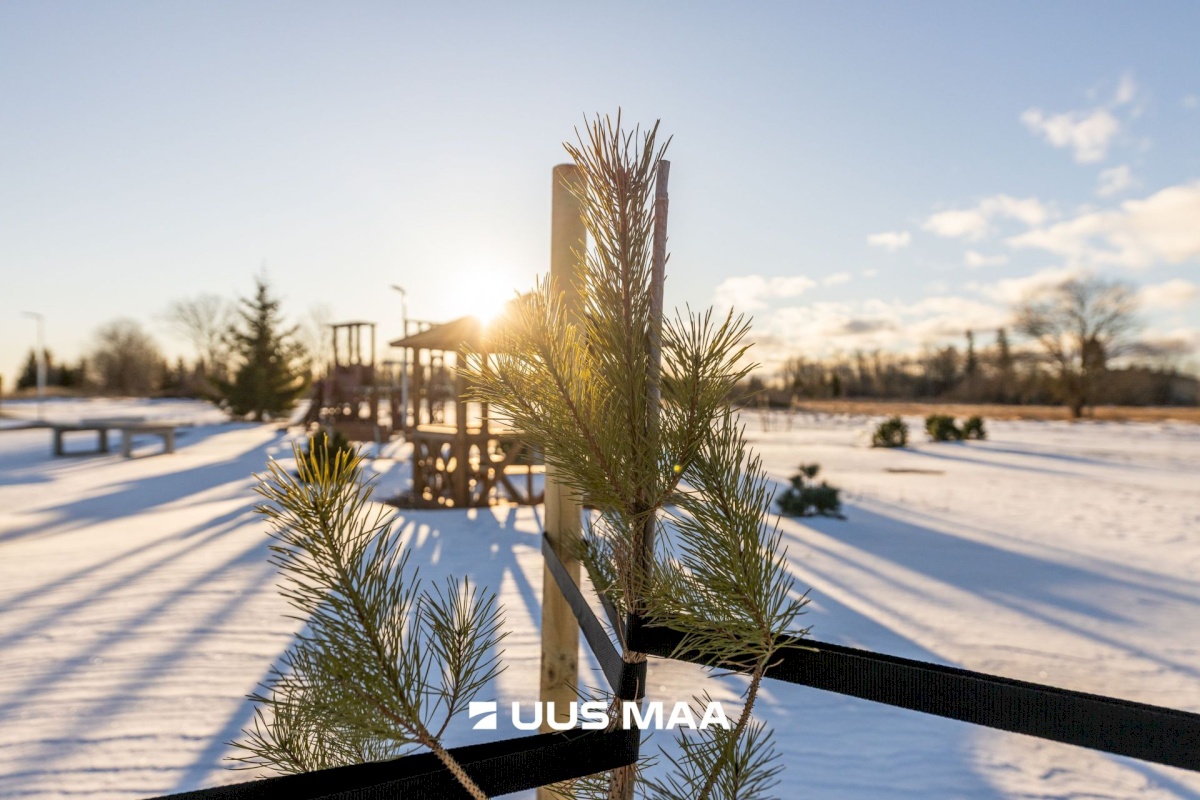 Rae vald, Assaku alevik, Uueveski tee 11