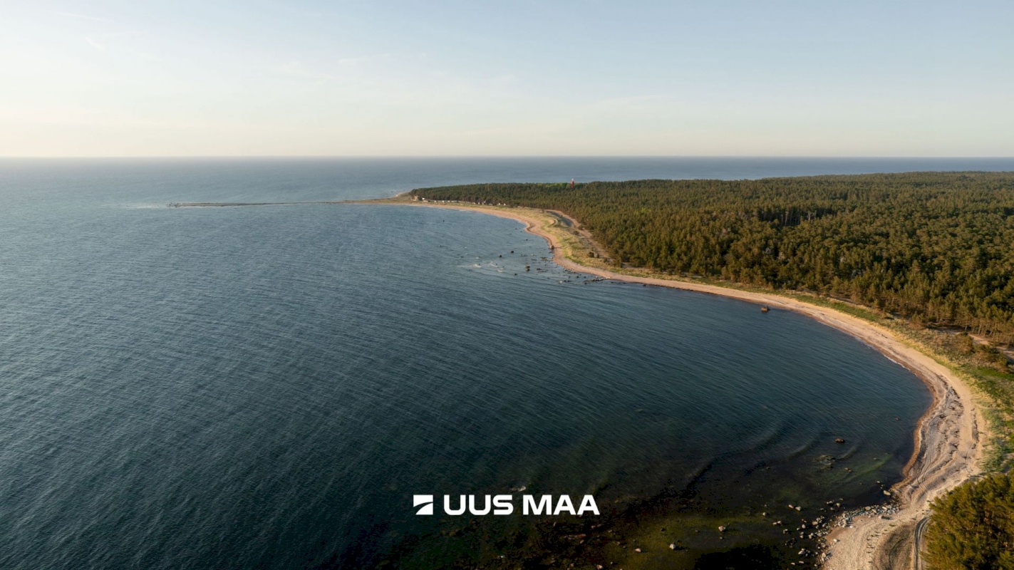 Hiiumaa vald, Kalana küla, Laine