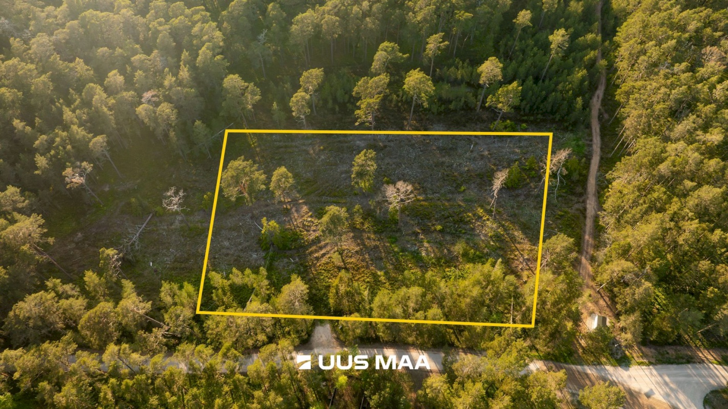 Hiiumaa vald, Kalana küla, Laine