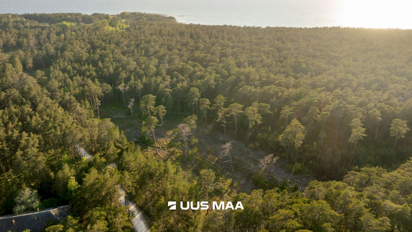 Hiiumaa vald, Kalana küla, Laine