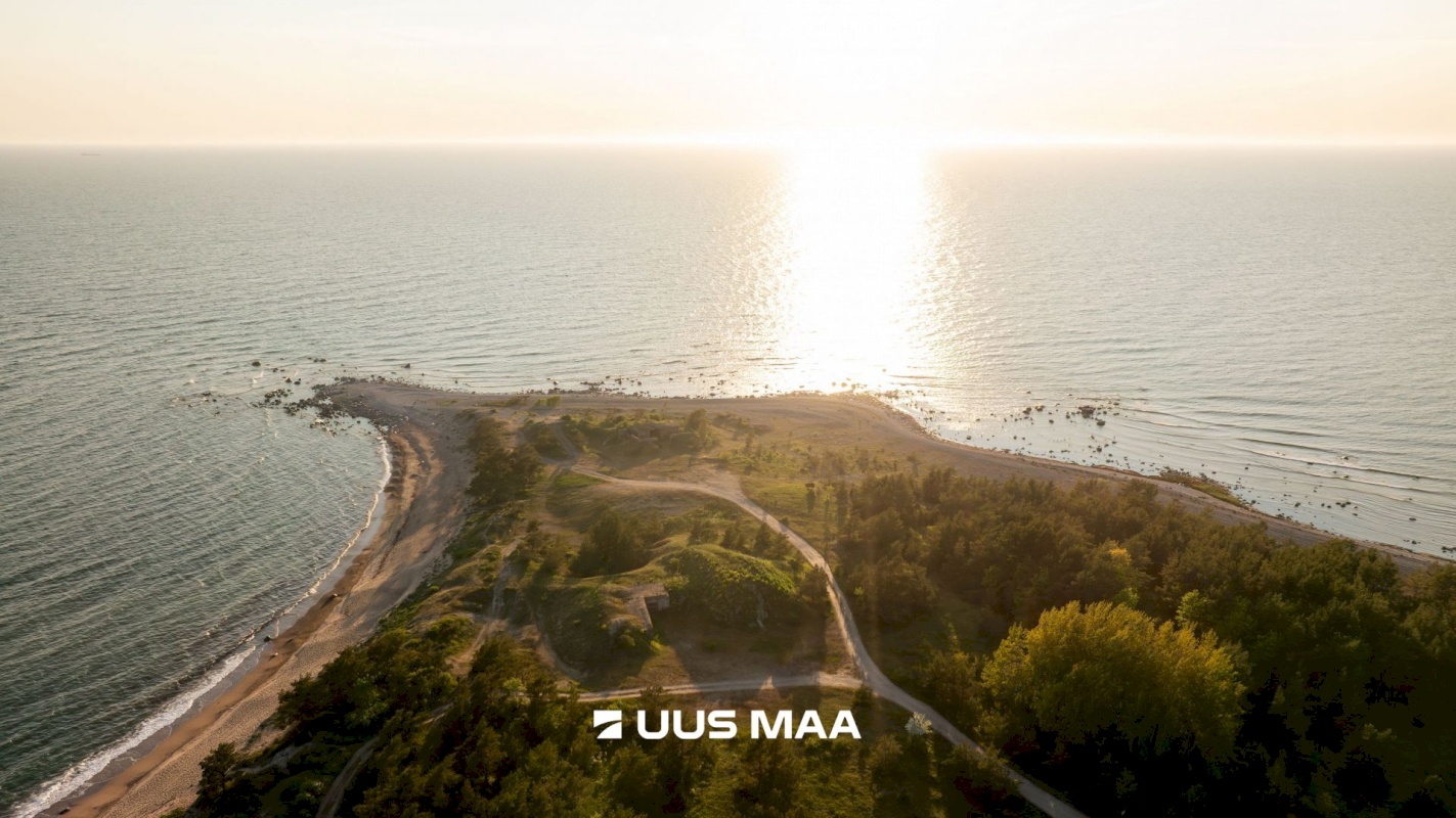 Hiiumaa vald, Kalana küla, Laine