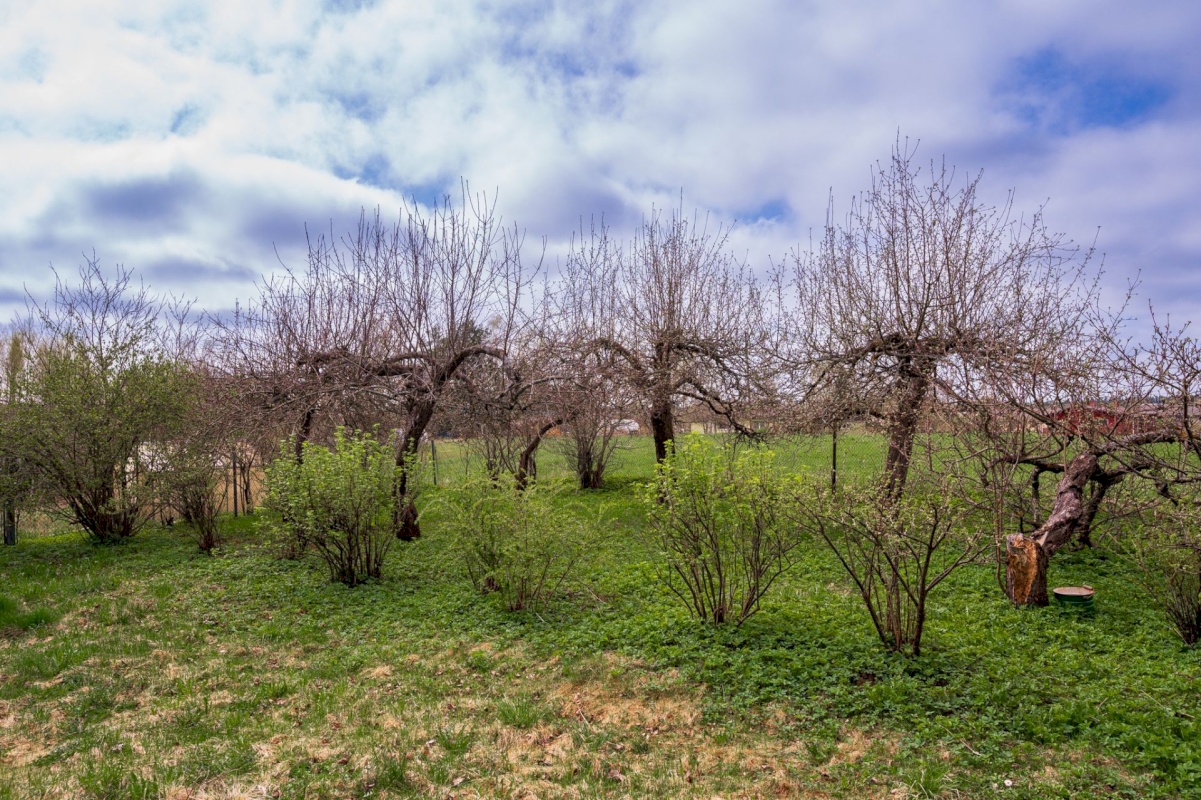Põlva vald, Mooste alevik, Ülejärve tee 5
