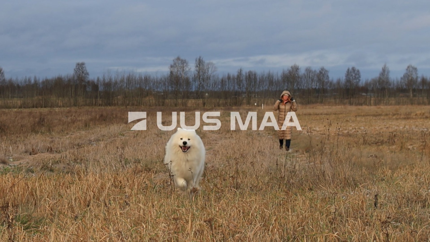 Kiili vald, Nabala küla