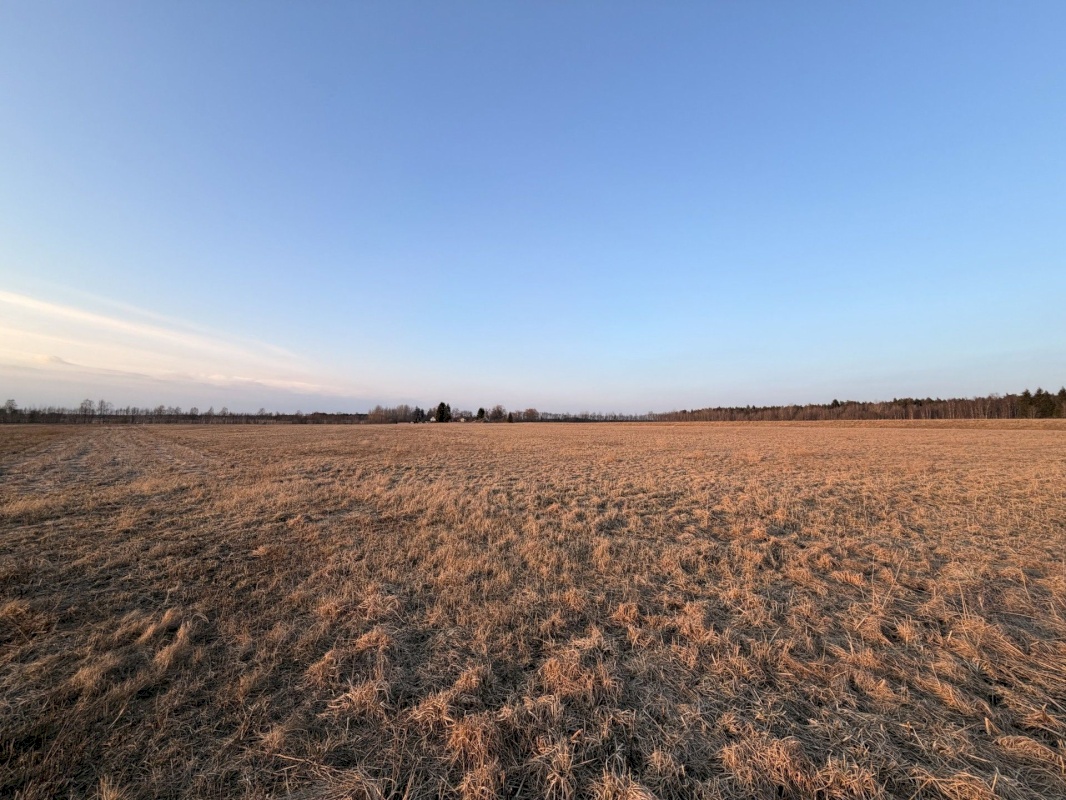 Kiili vald, Nabala küla