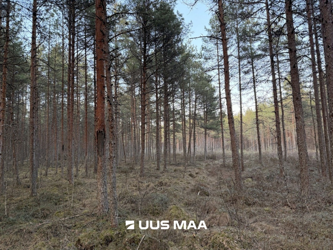 Kiili vald, Nabala küla