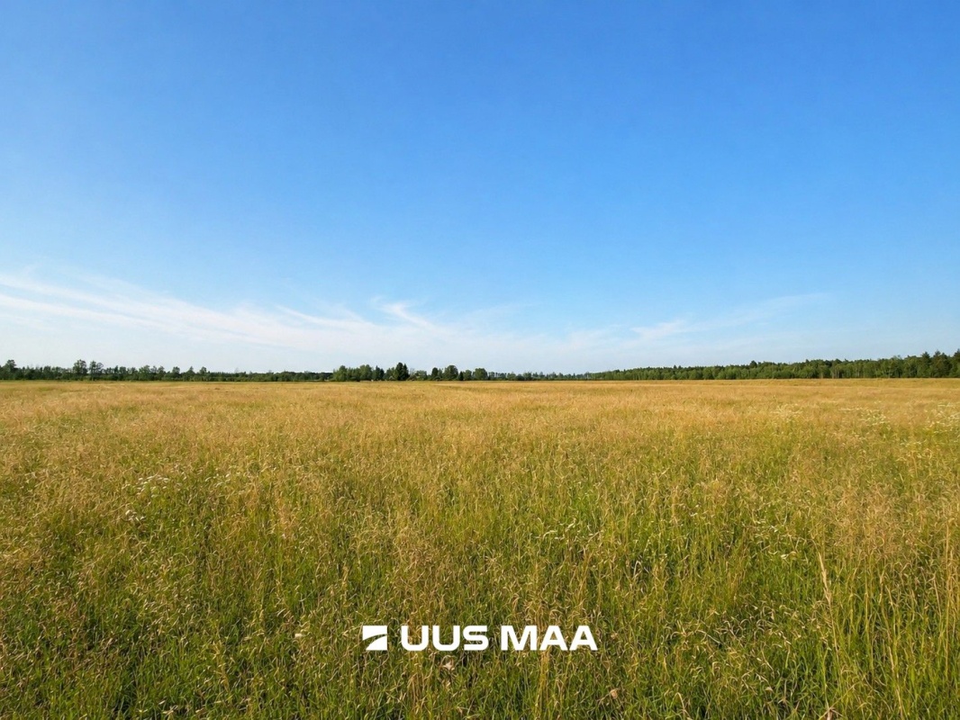 Kiili vald, Nabala küla