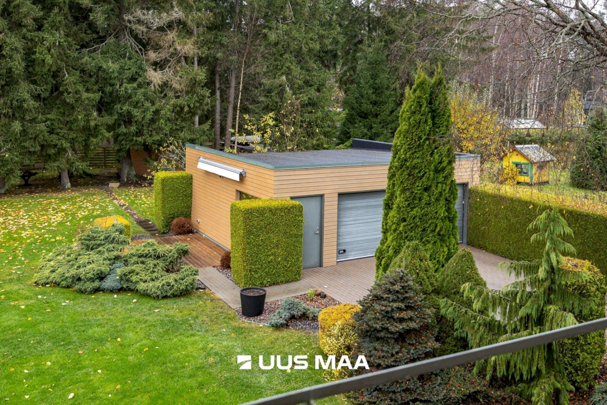 Viimsi vald, Tammneeme küla, Tammneeme tee 37