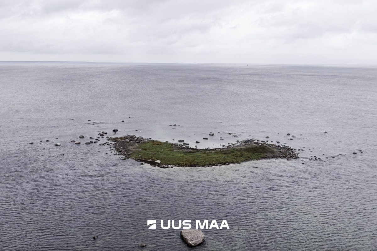 Viimsi vald, Tammneeme küla, Tammneeme tee 37