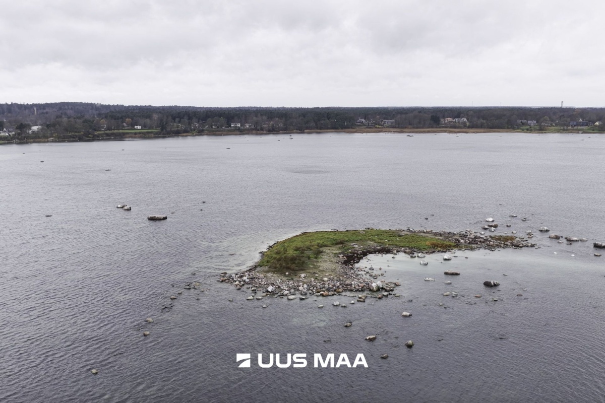 Viimsi vald, Tammneeme küla, Tammneeme tee 37