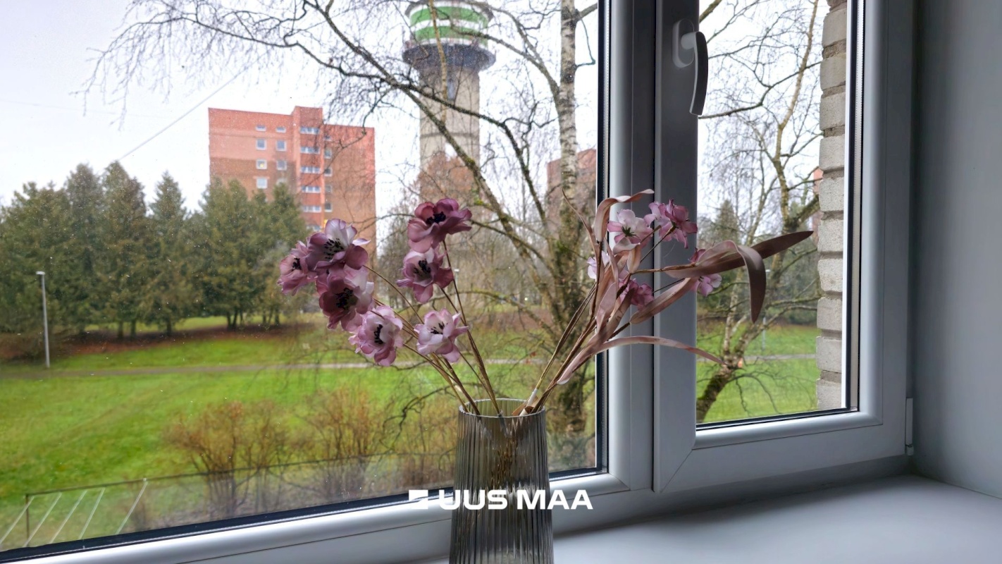 Jõhvi vald, Jõhvi linn, Kaare 19