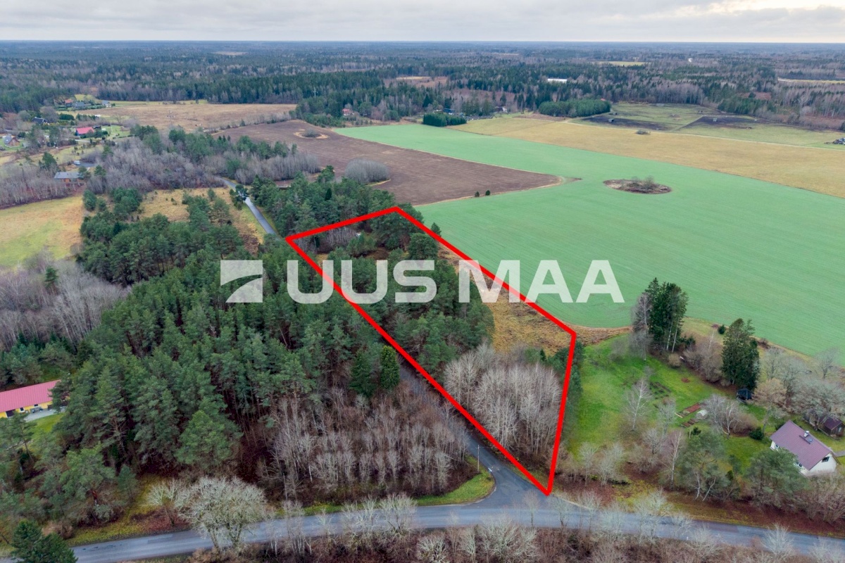 Saue vald, Ruila küla