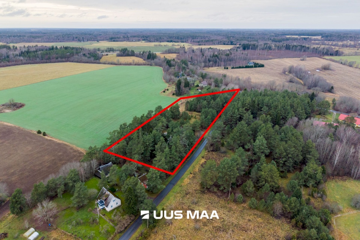 Saue vald, Ruila küla