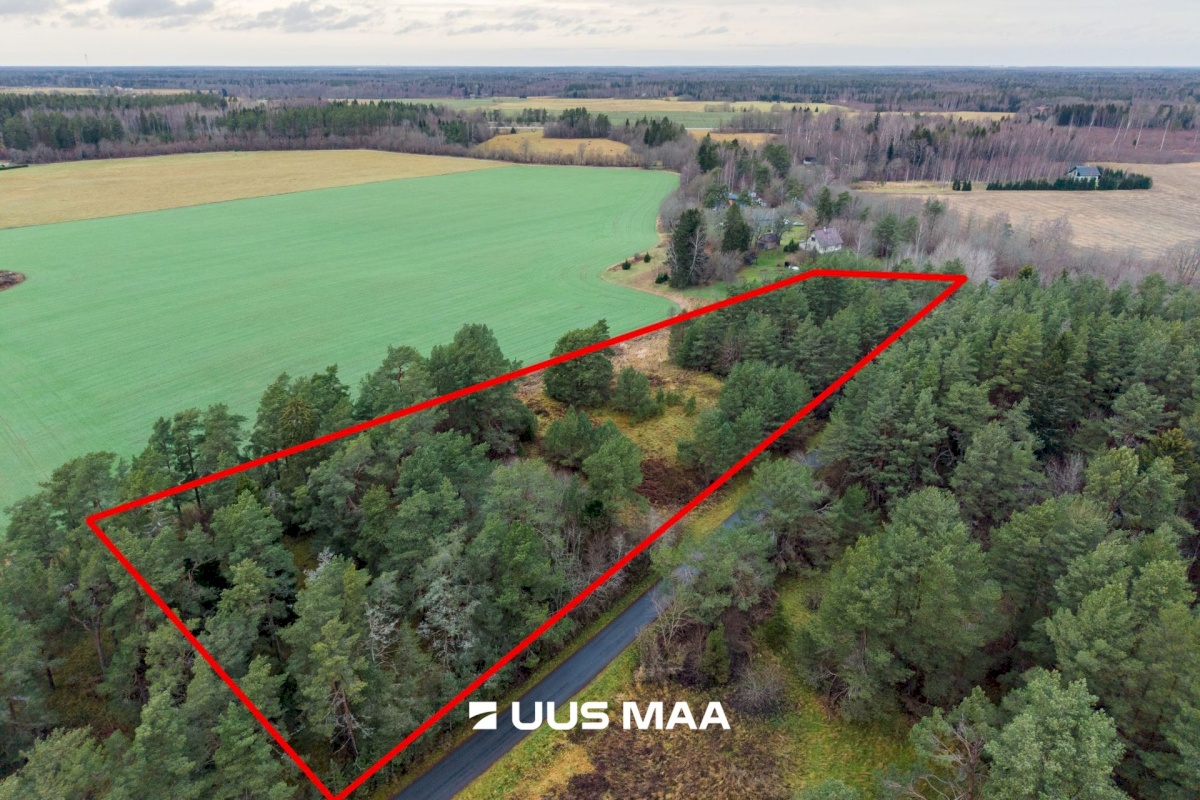 Saue vald, Ruila küla