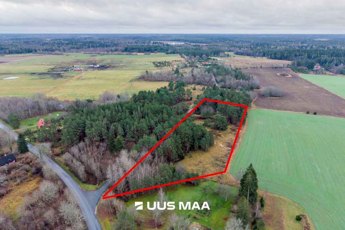 Saue vald, Ruila küla