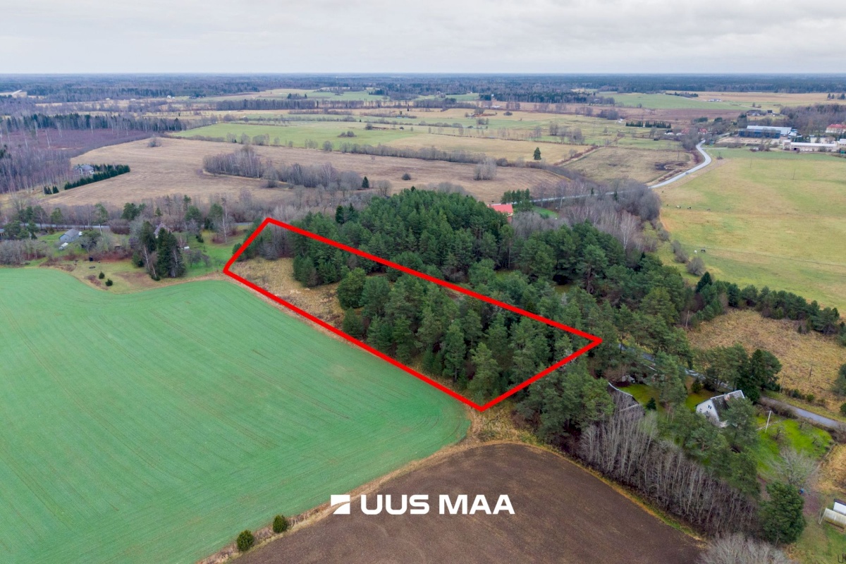 Saue vald, Ruila küla