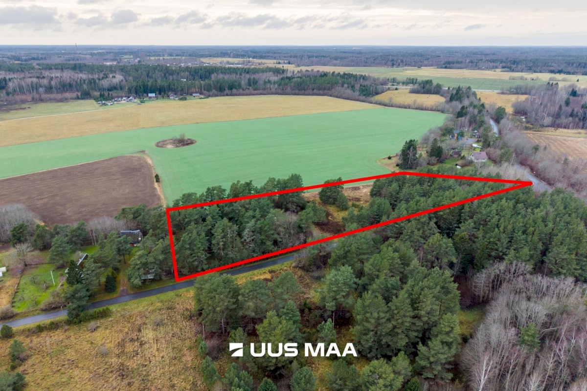 Saue vald, Ruila küla