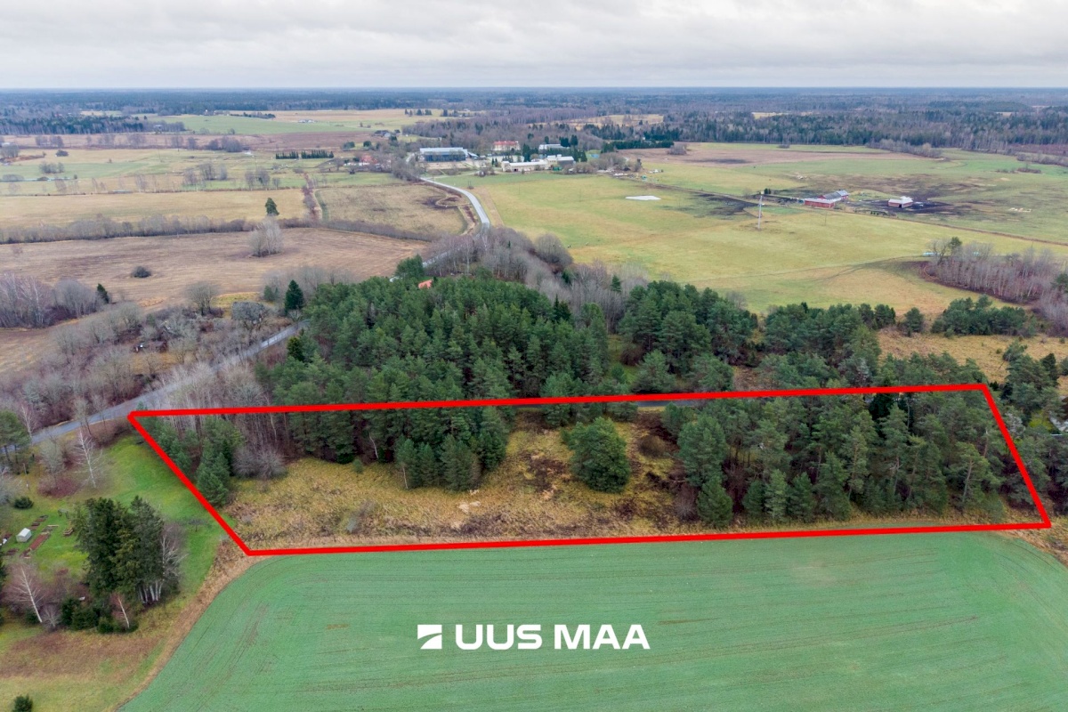 Saue vald, Ruila küla