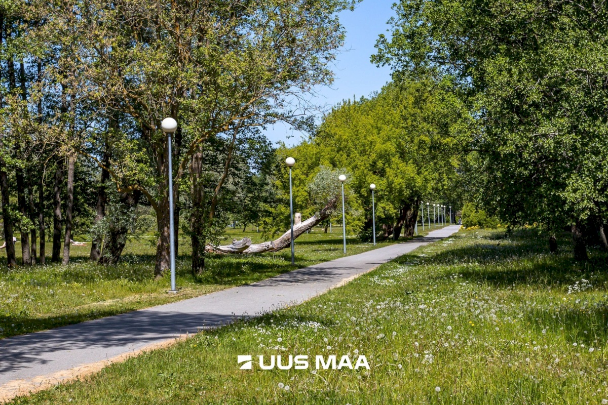 Tallinn, Haabersti linnaosa, Mustjõe, Lahepea 15