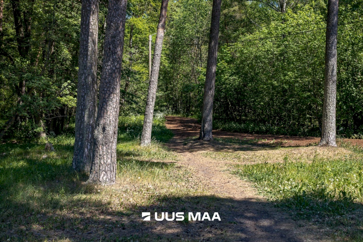 Tallinn, Haabersti linnaosa, Mustjõe, Lahepea 15