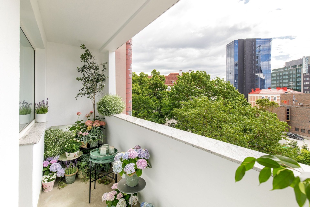 Tallinn, Kesklinna linnaosa, Kompassi, Gonsiori 12