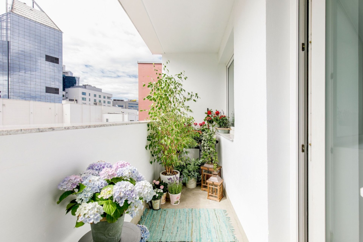 Tallinn, Kesklinna linnaosa, Kompassi, Gonsiori 12