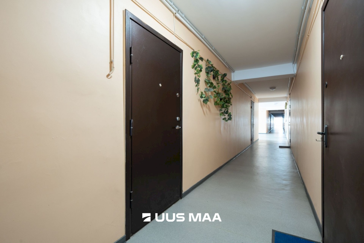 Tallinn, Põhja-Tallinna linnaosa, Karjamaa, Erika 5a