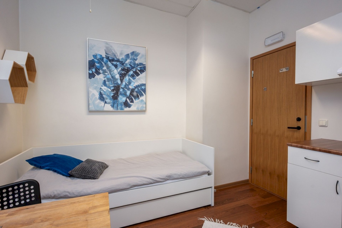 Tartu linn, Tartu linn, Ülejõe, Narva mnt 149