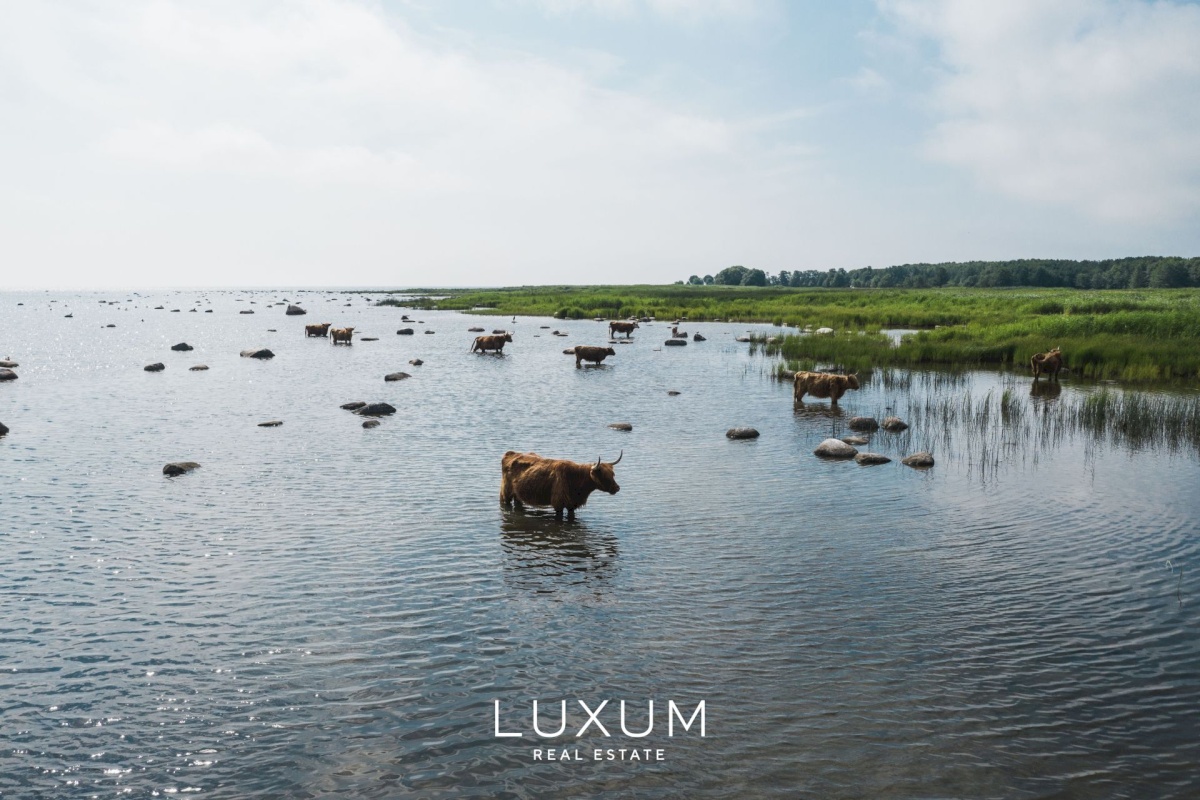 Muhu vald, Paenase küla, Sireli