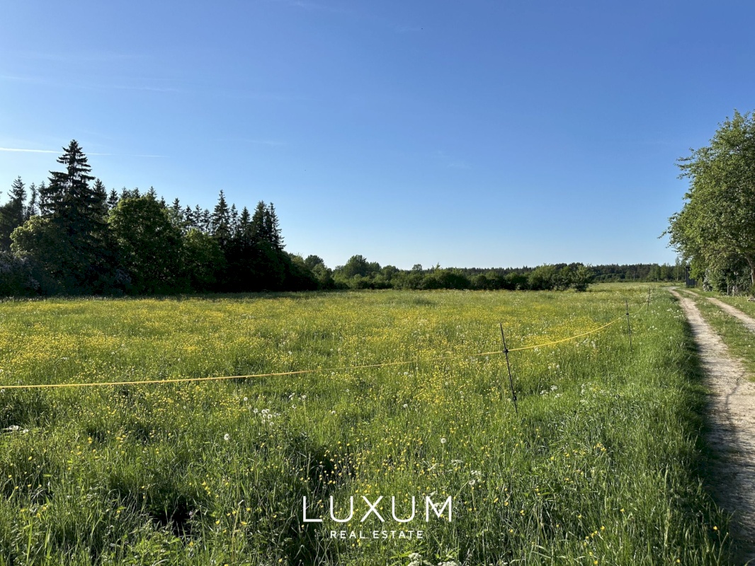 Muhu vald, Paenase küla, Sireli