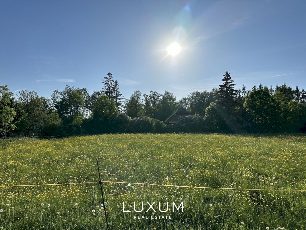 Muhu vald, Paenase küla, Sireli