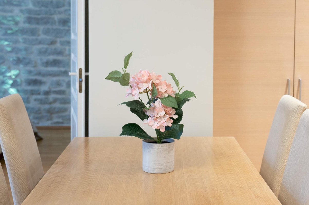 Tallinn, Kesklinna linnaosa, Tina tn 24