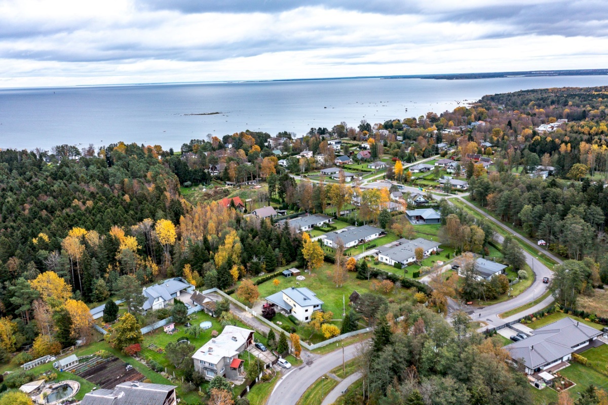 Viimsi vald, Tammneeme küla, Tammneeme tee 17