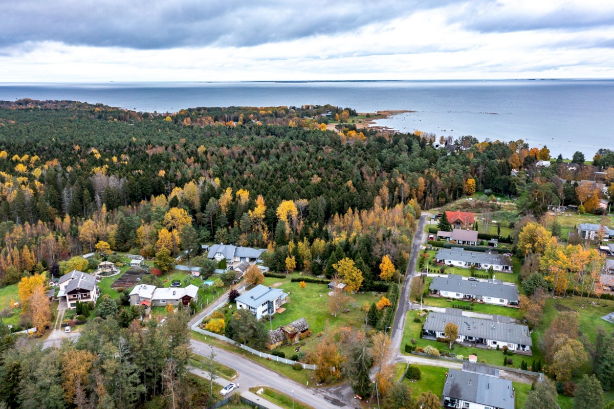 Viimsi vald, Tammneeme küla, Tammneeme tee 17