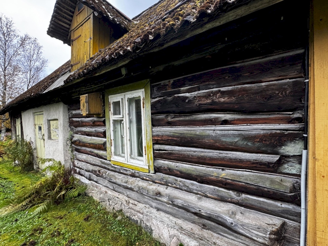 Viimsi vald, Tammneeme küla, Tammneeme tee 17